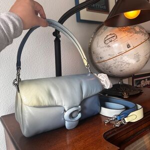 Coach Ombré pillow tabby 26